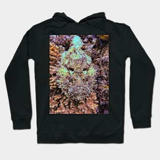 stonefish Hoodie